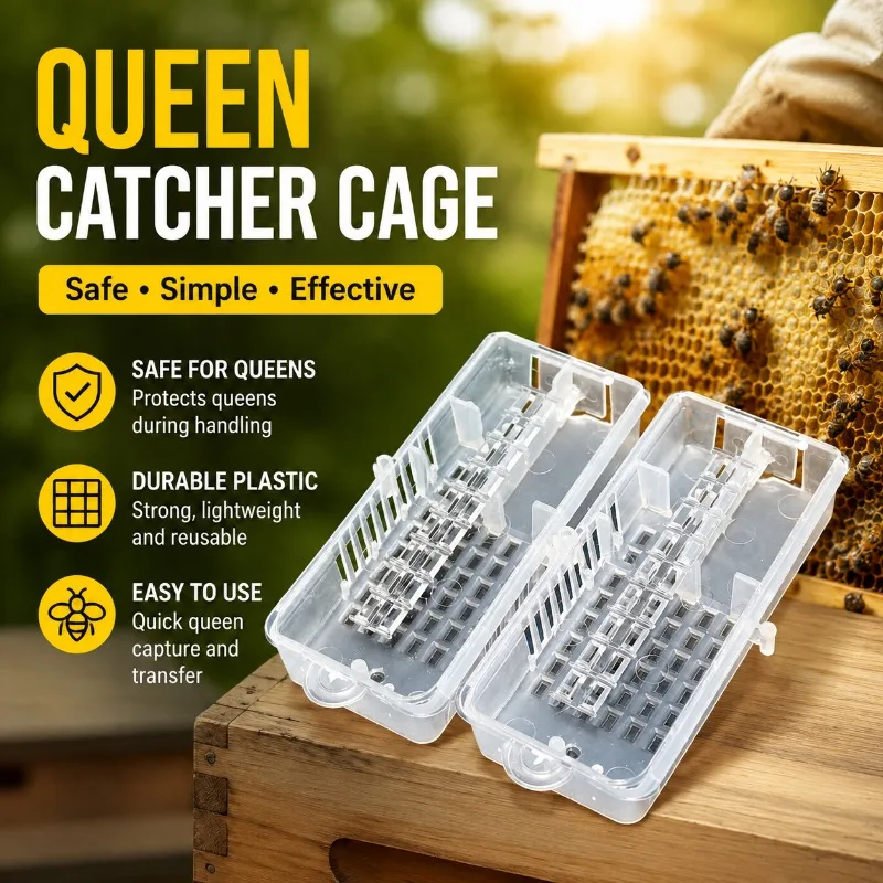 Beekeeping‑supplies Multi‑functional Plastic Bee‑cage Practical Insect‑holding‑container for Apiarist Daily‑bee‑managing