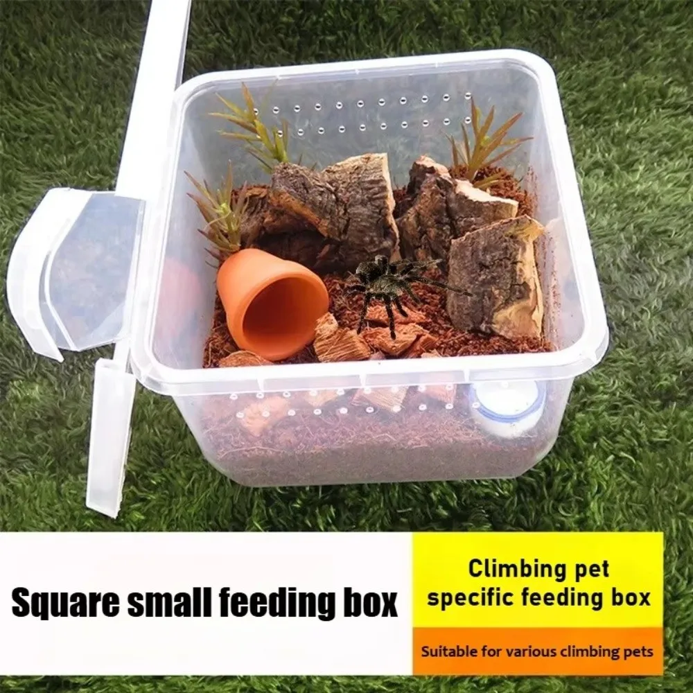 Clear Plastic Reptile Living Box Insect Rearing Food Feeding Lizard Breeding Box Arboreal Anti-Escape Reptile Terrarium