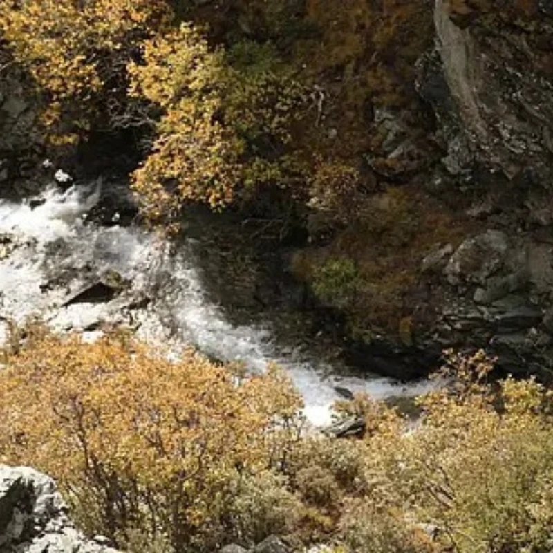 

IFlight BLITZ E55 Single 55A G071 2-6S LIPO BLHELI32 ESC с датчиком тока для FPV дронов для фристайла DIY Запчасти