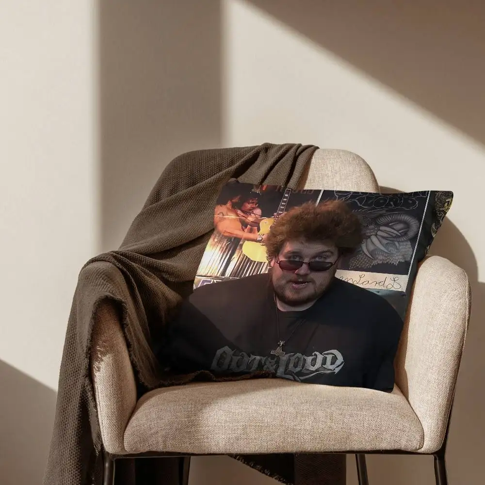 

D-Drachenlord Meme Square Pillow Bedroom Sofa Leisure Comfort CushionLiving Room Home Decoration