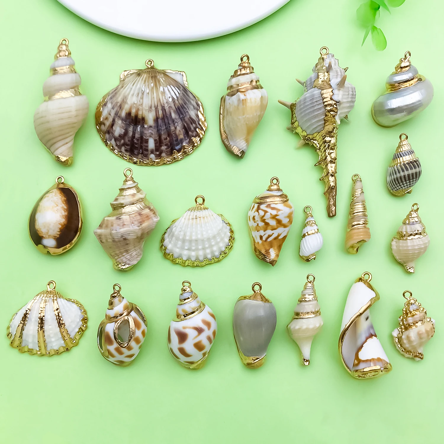 5pcs Seashell Charms Gold Plated Electroplated Natural Conch Shell Pendants For Ocean Beach Boho DIY Jewelry Making Accessories