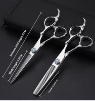 Professional Hair Cutting Scissors 6 Inch Thinning & Barber Salon Scissors with Sharp Blades for Hairstylist Tools