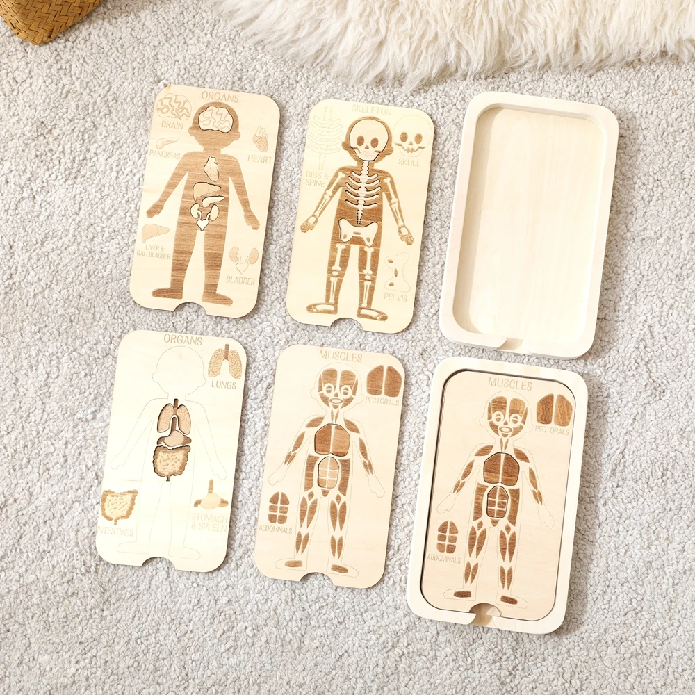 

Children Wooden Montessori Toys Human Body Puzzles Toys Wooden Human Anatomy Puzzle Cognitively Human Preschool Anatomy Toy Set