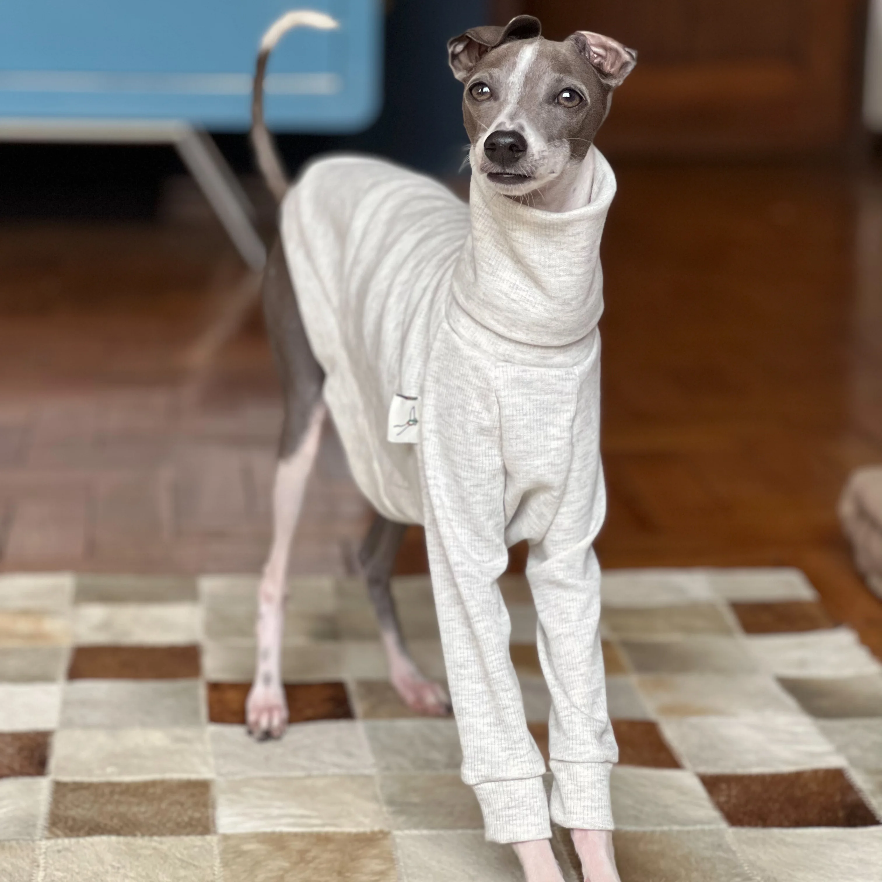 Whippet-ropa de cuello alto para mascotas, suave, gris, algodón, Galgo Italiano