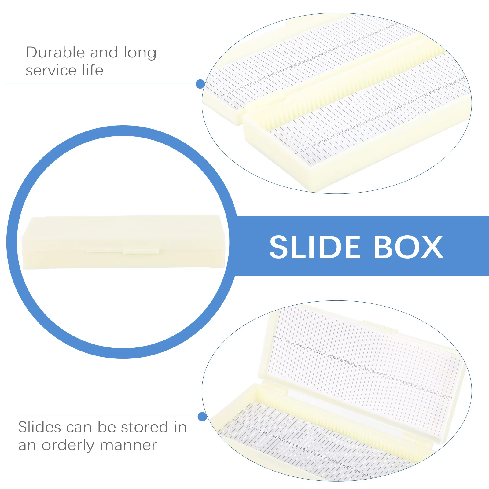

2 Pcs Slides Microscope Storage Case Organizer Beige Science Lab Homeschool Supplies Containers