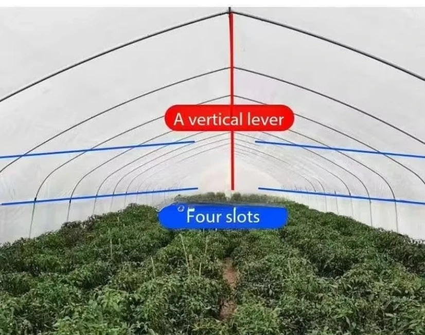 الدفيئة الزراعية ذات الأنبوب الدائري لزراعة هيكل الدفيئة المتين ومتعدد الاستخدامات #5
