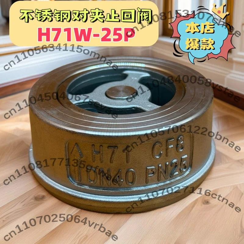 304 stainless steel clip-on check valve 316 boiler steam clip-on check valve H71W-16P/25P