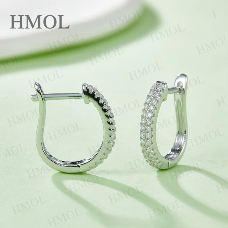 

Moissanite Hoop Earrings 925 Sterling Sliver Round 2.2mm D Color Double Row Design for Women Birthday Jewelry Gifts Wholesale