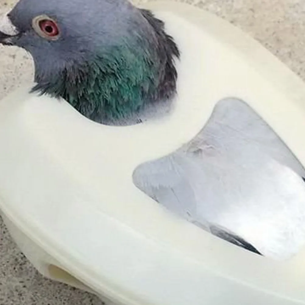 

6pcs Pigeon Fixer Injection Holder Pp Material Durable Bird Feeding Device Medication Cage Accessory Poultry Holder Safe