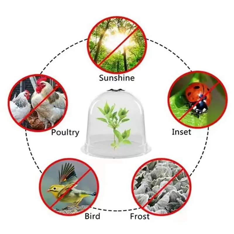BHBD-6PCS Reuseable Plastic Greenhouse Garden Plant Bell Cover Frost Guard Freeze Protection Dome Insulation Cover