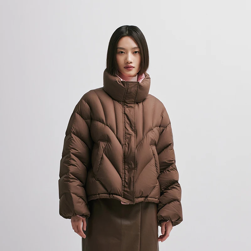 Chericom Chaqueta corta de plumón para mujer, silueta recortada, acolchado, minimalista, cuello levantado, informal, cálido, acolchado, prendas de vestir exteriores Y298089Y