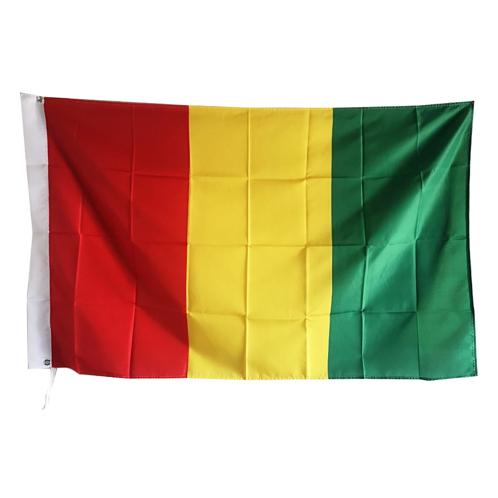 Guinea Africa National Flag All Over The World Printed Flag Polyester Shaft Cover Brass Grommets Design Outdoor Advertising