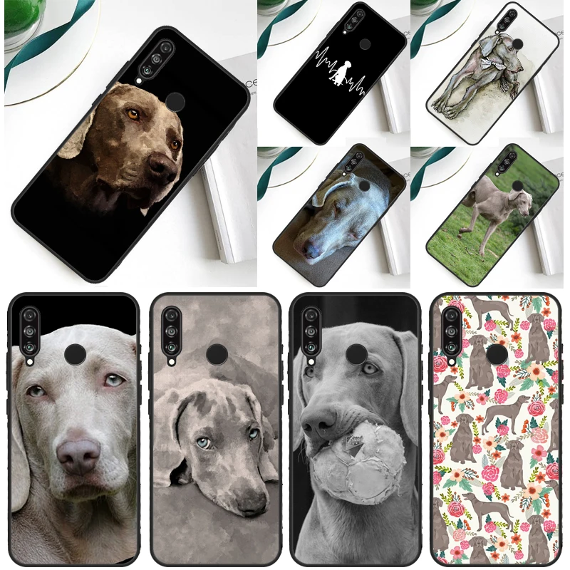 Weimaraner Dog For … - image