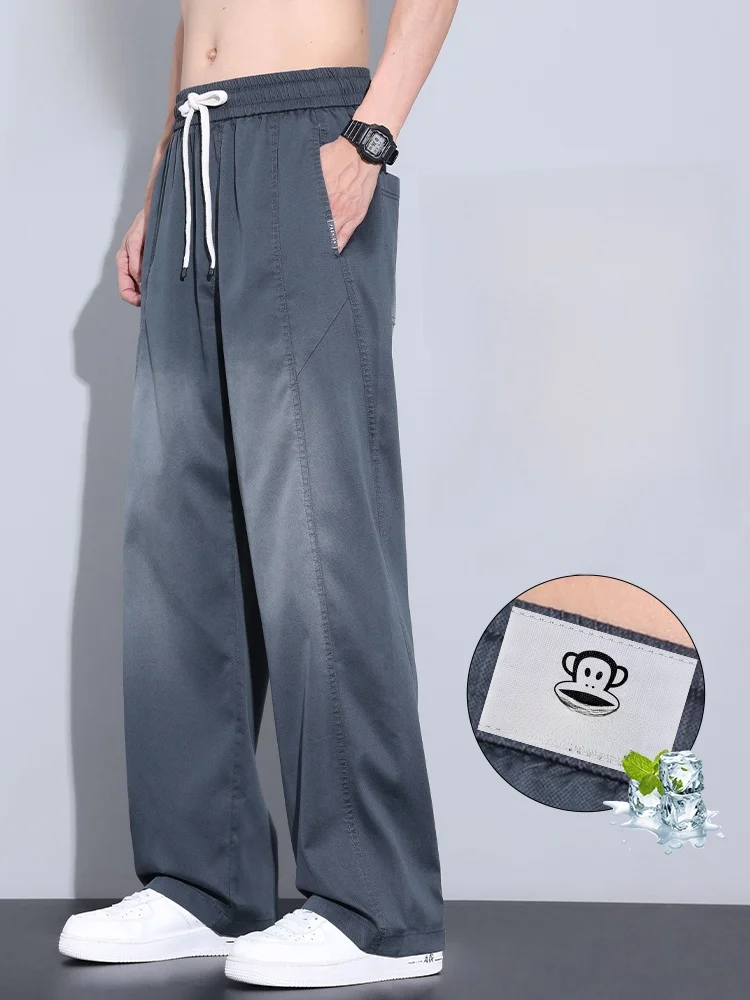 

Мужские летние брюки Paul Frank: свободные, драпирующиеся, повседневные, винтажный тренд, из лиоцелла и шелка, широкие штанины, прямой крой, молодежный стиль