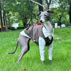 Dog clothes Autumn Retro British Style White Shirt Grey Suit Vest  for Whippet Bellington Spring Cotton Blouse for Greyhound
