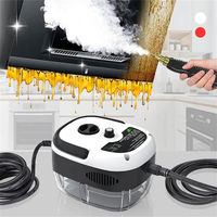 2500W 110V 220V Handheld High-Temperature Pressurized Steam Cleaner For Air Conditioner Kitchen Hood Car Steaming Cleaner