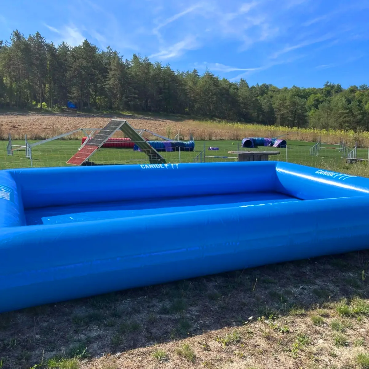 حار بيع كبير PVC الحيوانات الأليفة Airblow المياه بركة داخلي في الهواء الطلق الكلب حمام سباحة قابل للنفخ لفصل الصيف