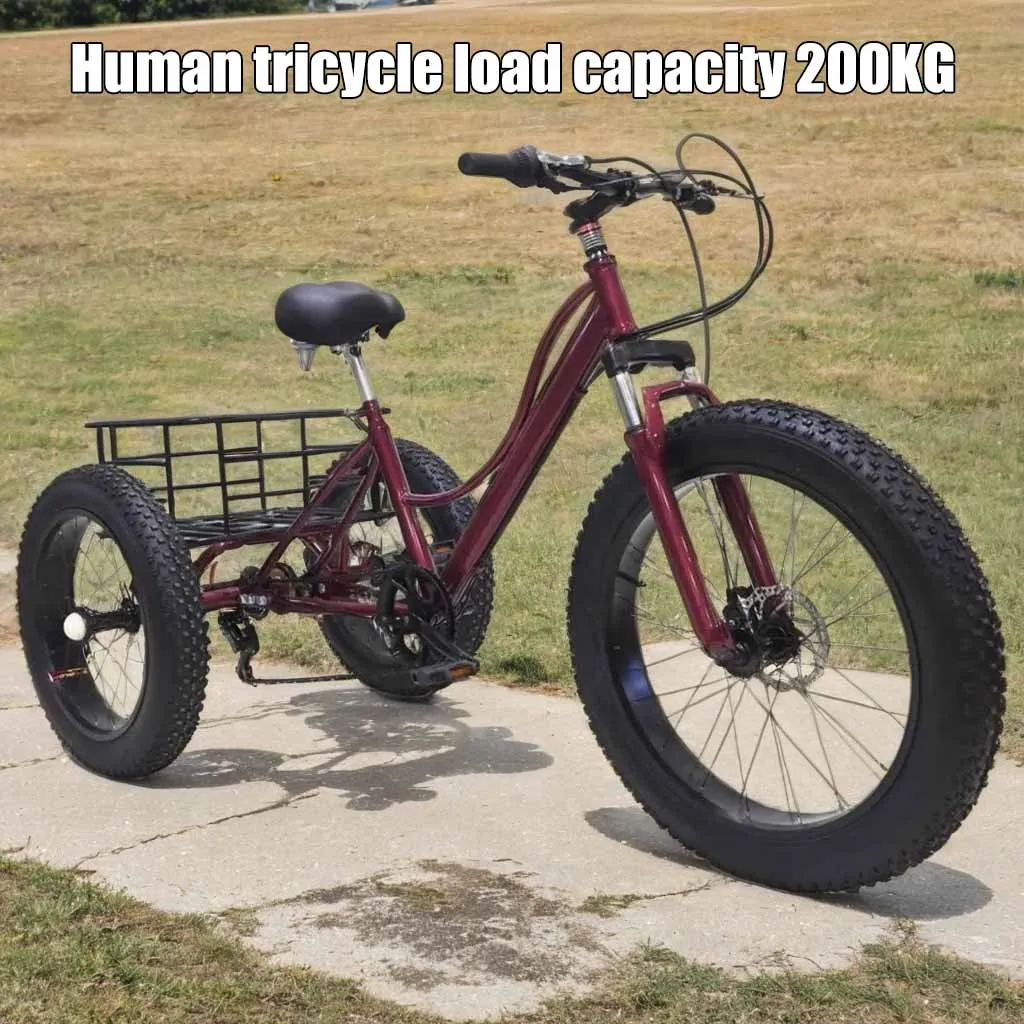 

24 inch MTB fat tire pedal tricycle 7 speed elderly tricycle 3 wheel bicycle carbon steel off-road tricycle with fruit basket
