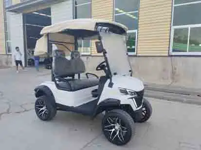بيع المصنع مباشرة عربات الغولف الكهربائية عربة الغولف الكهربائية الحديثة #6