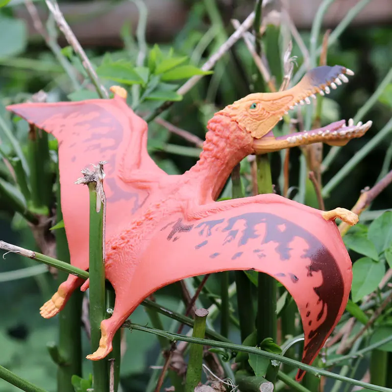 Simulation Dinosaur Model Children's Toy Solid Plastic Dinosaur Jurassics Dinosaur World Pterosaur Pterodactyl Flying Dragon