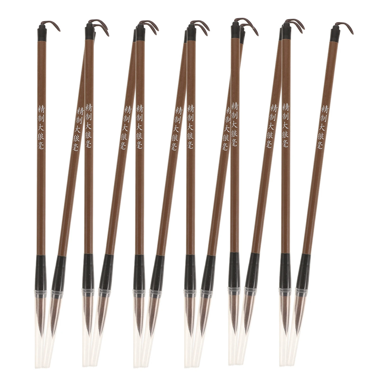 

12Pcs Chinese Calligraphy Brush Set Versatile Ink Brushes for Writing Painting Traditional Calligraphy Pens Beginners
