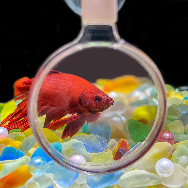Small Animal Plant Aquarium Equipment Aquarium Magnifier Acrylic Suction Cup Viewer Fish Tank Viewer Magnifying Glass