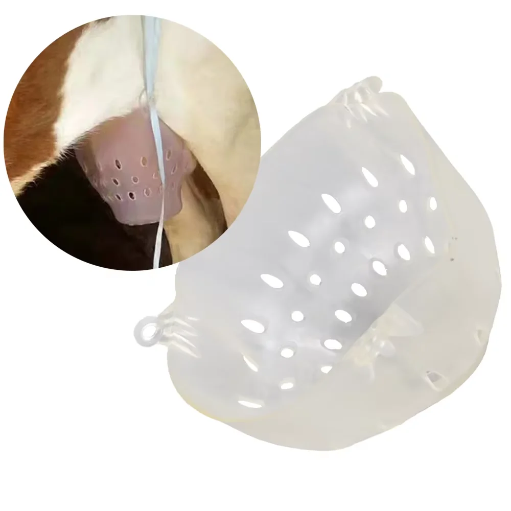 소 젖꼭지 커버, 송아지 이유기, 투명, 6개의 고리 구멍, 유방 쉘, 착유 중지, 가금류 번식 방지 도구