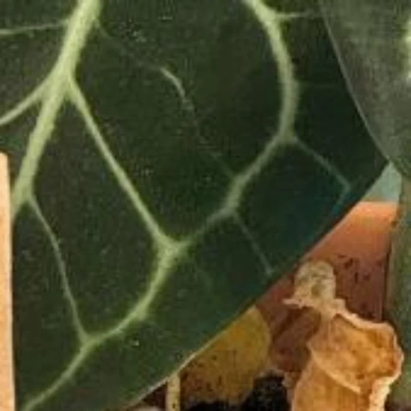 

2026 Year Cartoon Calendar Cute Animal Illustration Desk Calendar Month Calendar Decorative Pendant Gift Home Office Decor