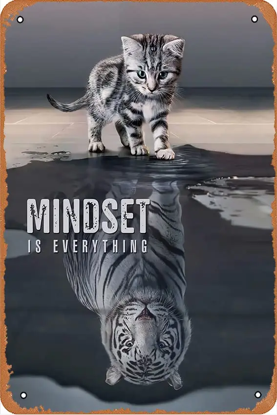 Motivierendes Poster, Mindset Is Everything, Metallschilder, Vintage, lustiges Geschenk, Metallschild, Blech, Retro-Wanddekoration für Zuhause, Straße, G