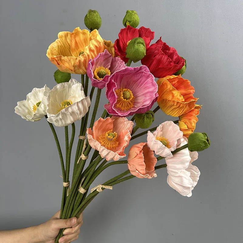 2Pc 47Cm Eva Yu Mei… - image