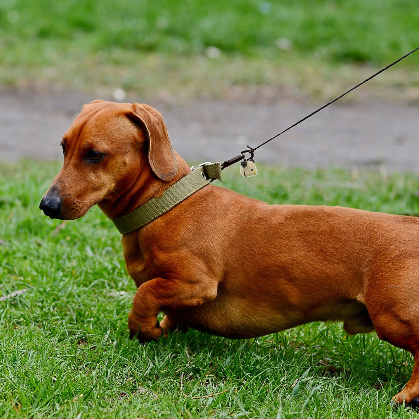 

10pcs Pet Collar Bell Small Brass Bells Diy Hanging Charm For Cat Dog Collar Accessories Crafting Mini Bell