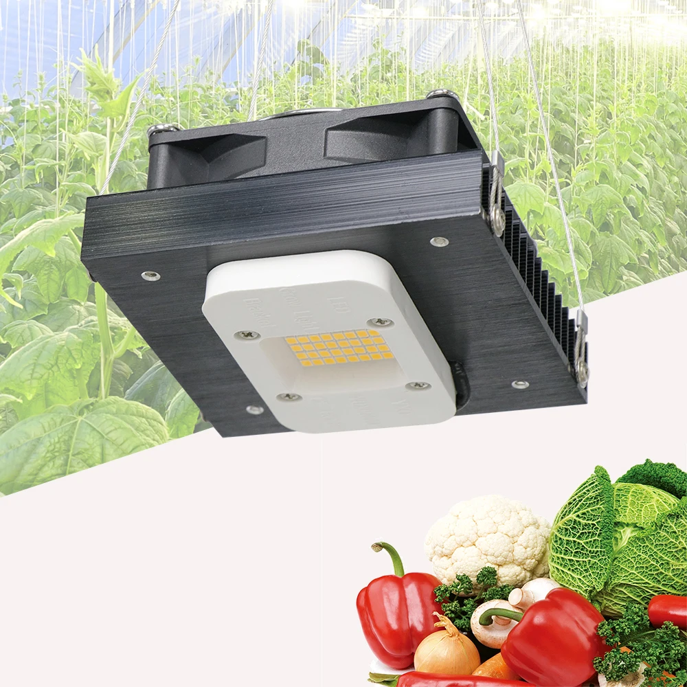 

LED Grow Full SpectrumHigh PPFD Phytolamp Full Spectrum Growth Lamp SMD283b LED Lamp Rows Greenhouse Flower Supplementary Light