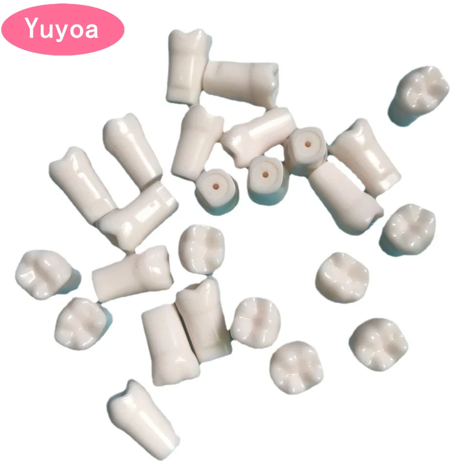 200pcs Dental Teeth Model Dentistry Replacement Teeth echnician Practice Preparation Removable Tooth Training Practice Teaching