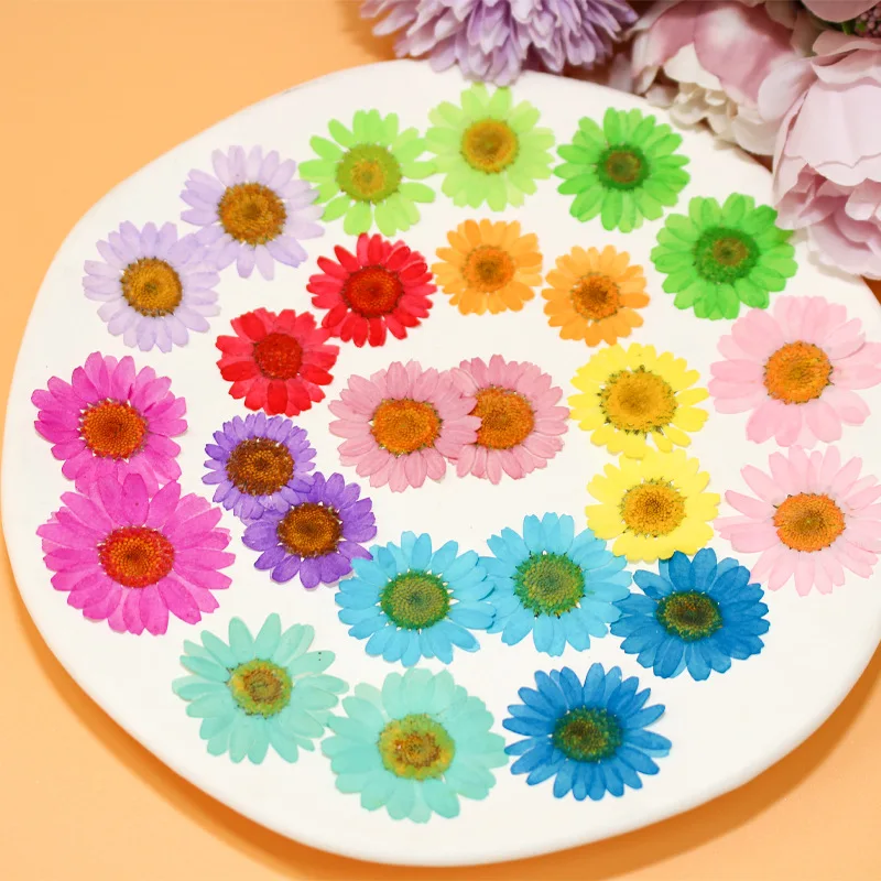 12PCS Set 2.5-4cm Natural Dried Flowers for DIY Phone Case Fillings Pressed Crystal Chrysanthemum Flower Nail Art Decorations