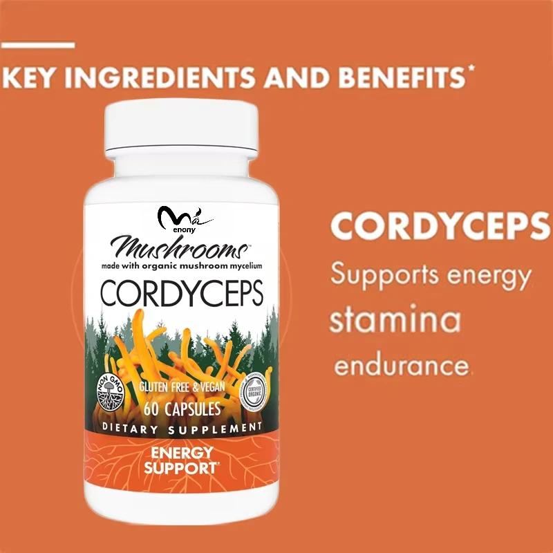 

Капсулы Cordyceps sinensis — добавка для поддержки иммунитета и энергии для здоровья почек, содержащая капсулы Cordyceps sinensis 60