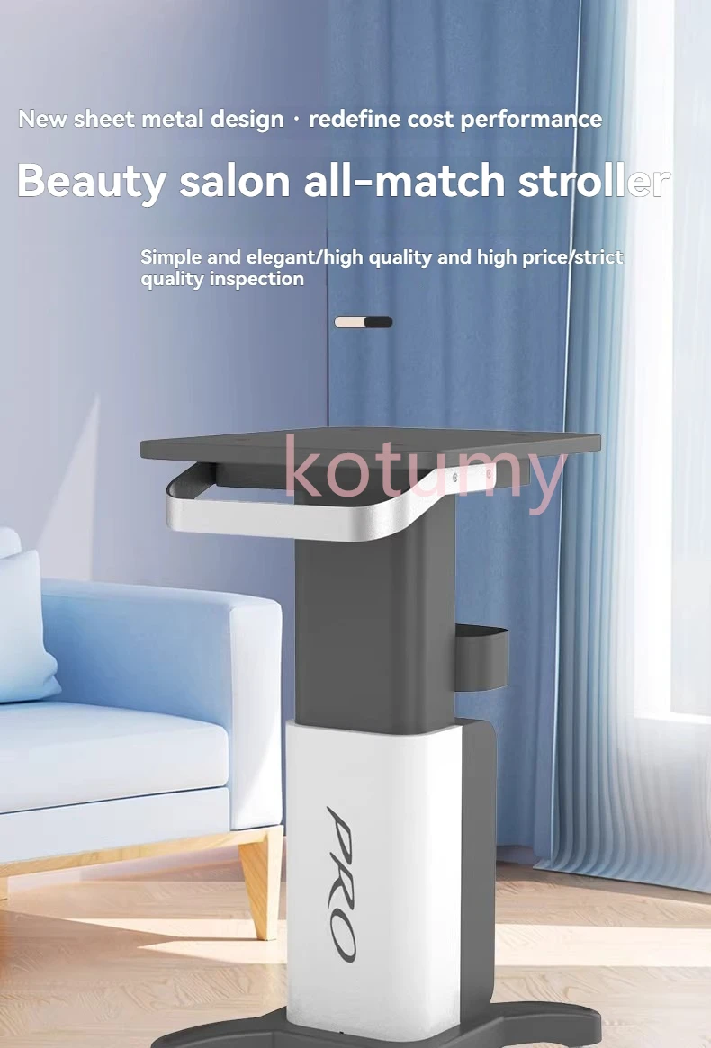 Multi-Purpose Beauty Salon Rolling Cart Wheels Welding Trolley Sheet Metal Professional Salon Dental Clinic Mobile Rack Tool