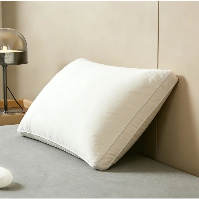 1200G Luxury Mulberry Silk Pillow 48x74cm Hypoallergenic Sleeping Pillow Comfortable Cotton Shell Hotel High Quality Bed Pillows