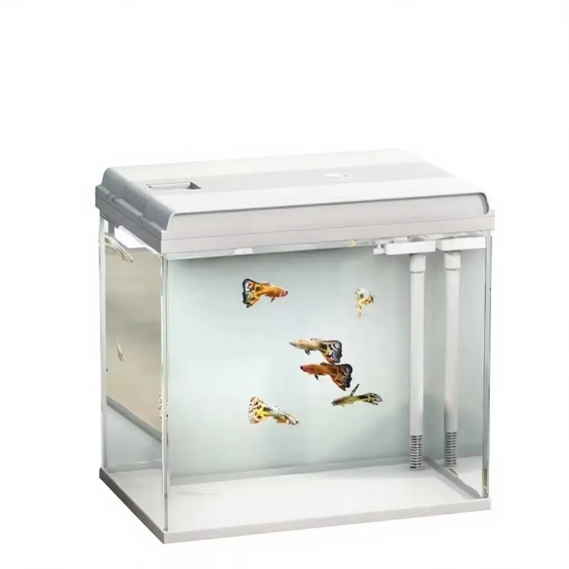 Glass Rectangle Desktop Aquarium Natural Light Full-Tank Circulation Low Noise Multi-Stage Filtration Energy