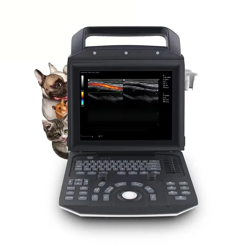Veterinary Ultrasound System Ultrasound Instruments Cat Dog Cardiotocography Ultrasound Machine