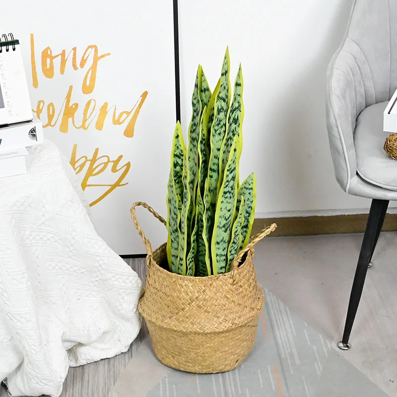 ديكور نباتات بوعاء محاكاة داخلية وخارجية، نباتات خضراء منزلية، بونساي سيزال الصبار، غرفة المعيشة، المكتب، قطعتان #4
