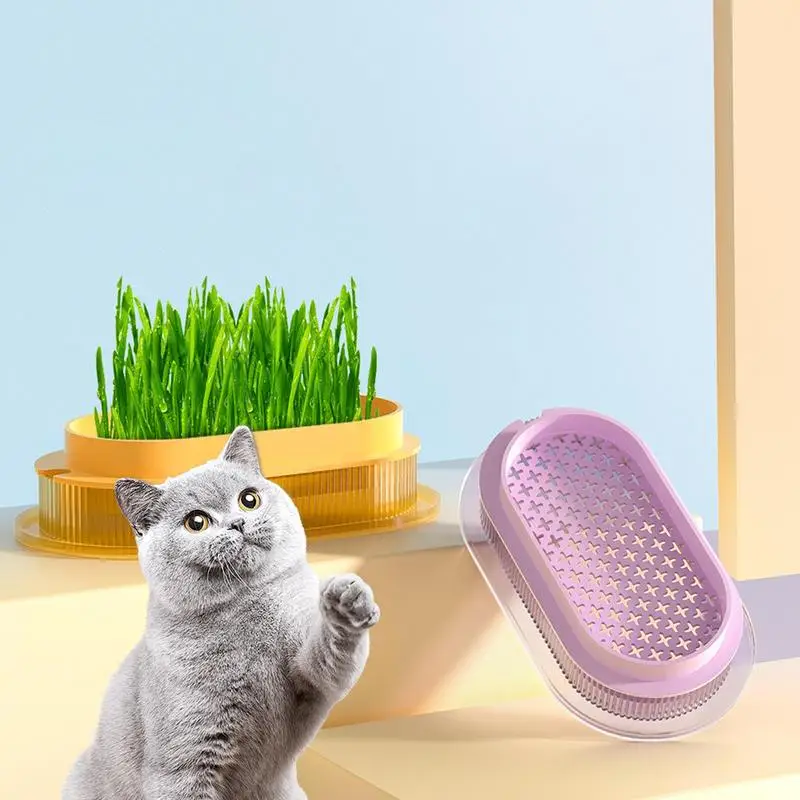 Cat Grass Pot Indoor Cat Grass Plant Box Safe Hydroponic Cat Grass Planter Transparent Cat Grass Basin For Indoor Cats