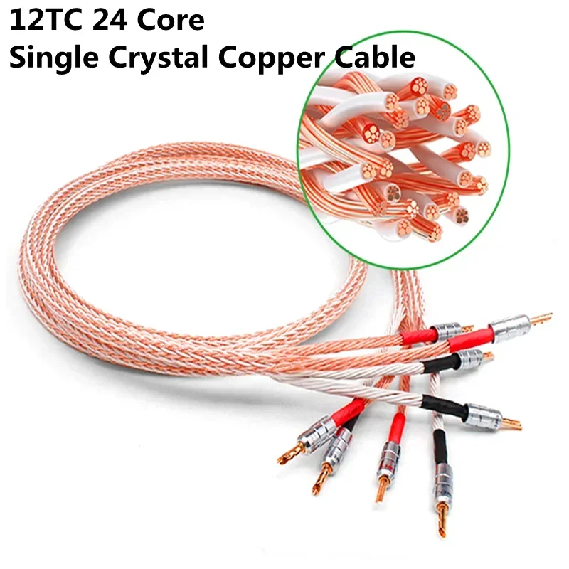 12TC OCC Speaker Cable Biwire 2 To 4 Speaker Cable 24 Core HiFi Audio Amplifier Main Speaker Wire Gold Plated Banana Plug