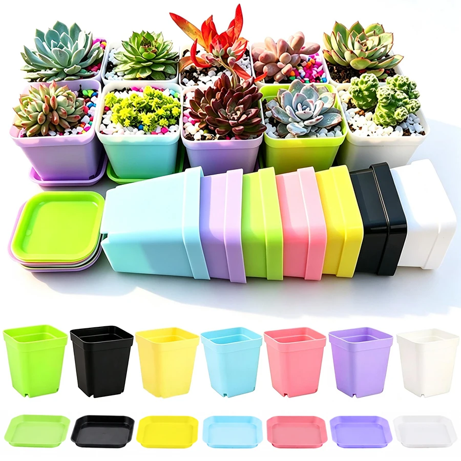 6/12pcs Square Plastic Plant Pots With Matching Trays, Mini Flower Pot for Succulents, Cactus, Seedling & Small Houseplant XJM