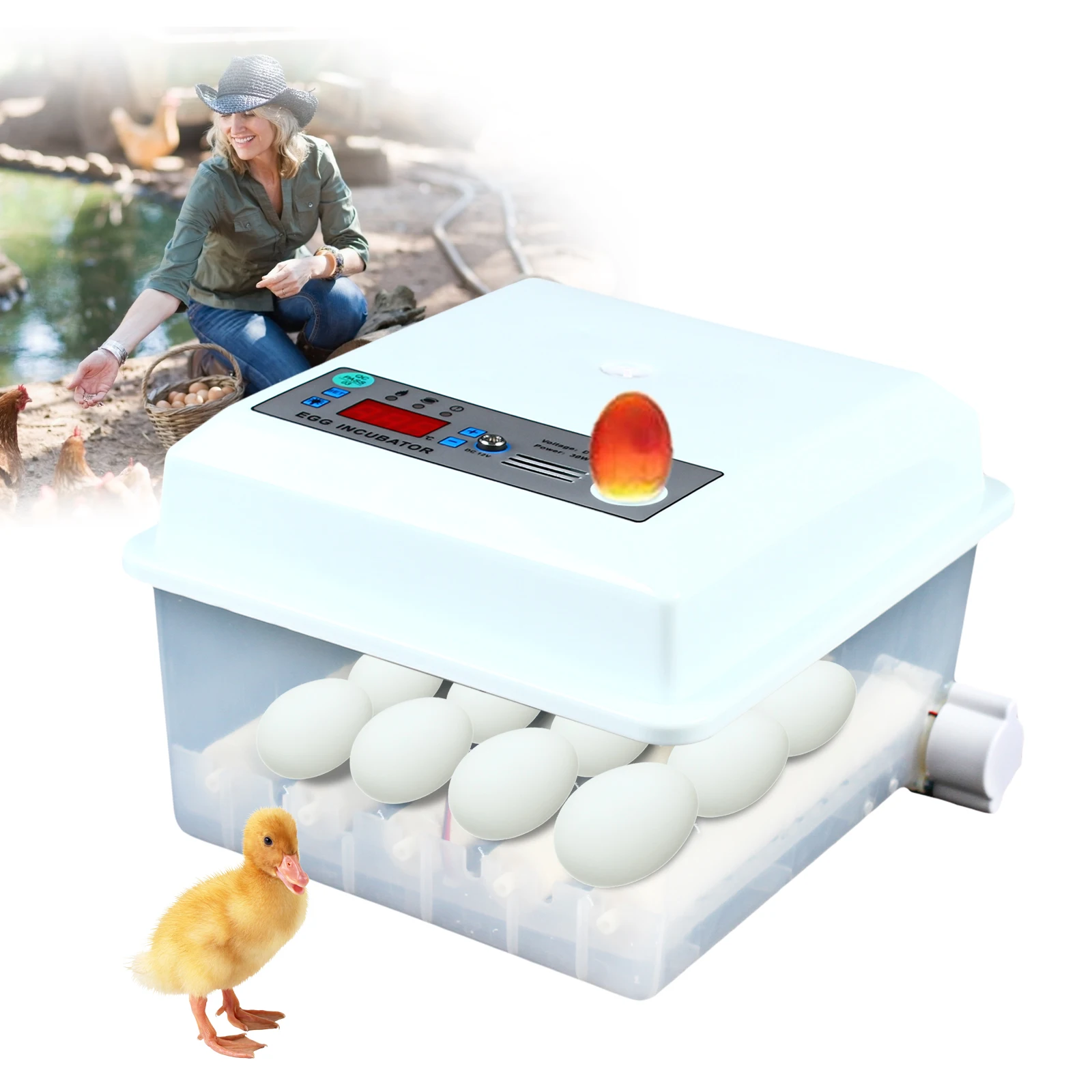 

16 eggs Incubator small household chicken duck and bird eggs crawling incubator mini automatic constant temperature incubator