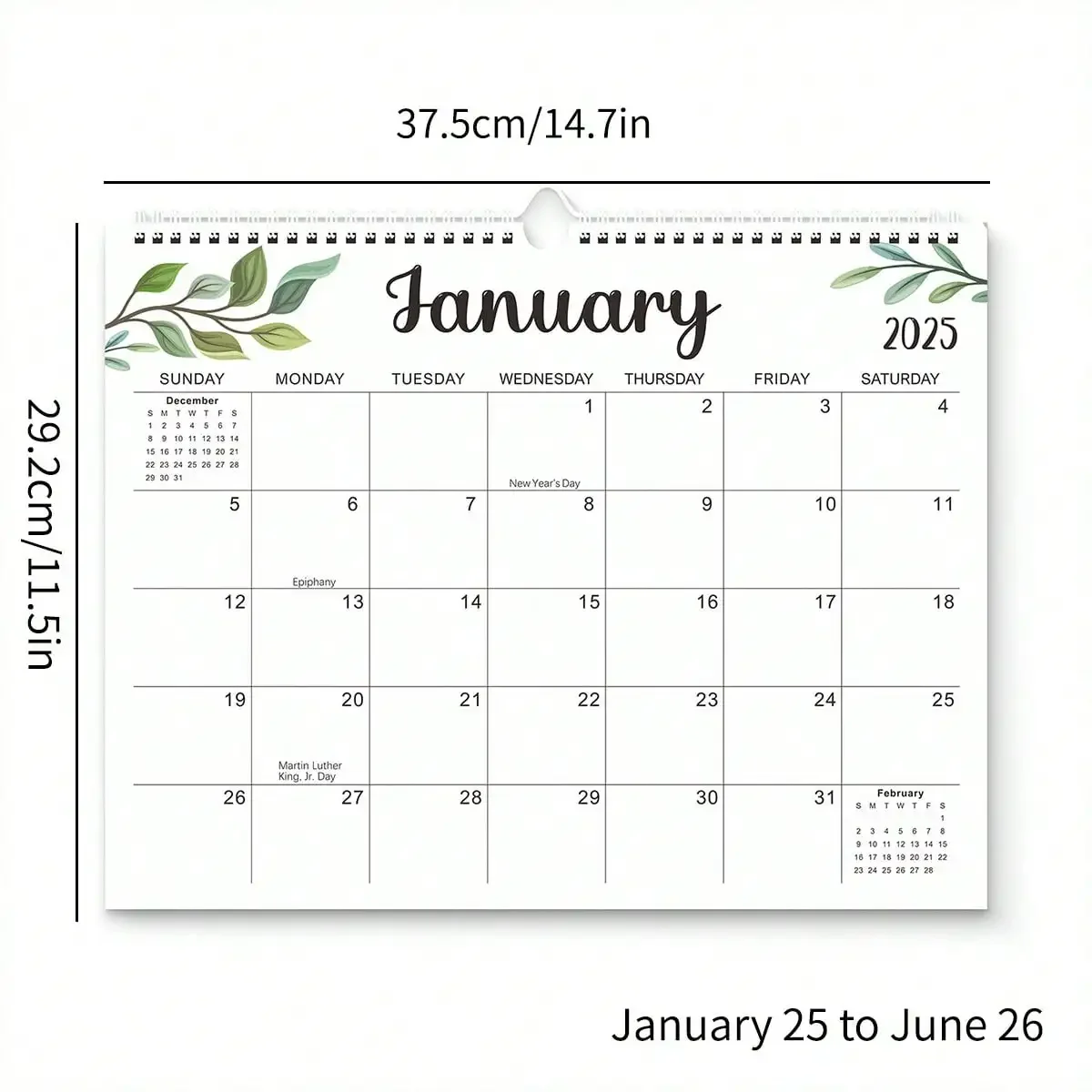 1 Piece 2025 English Creative Calendar Simple Coil Wall Calendar Fresh Plants Coil Wall Calendar