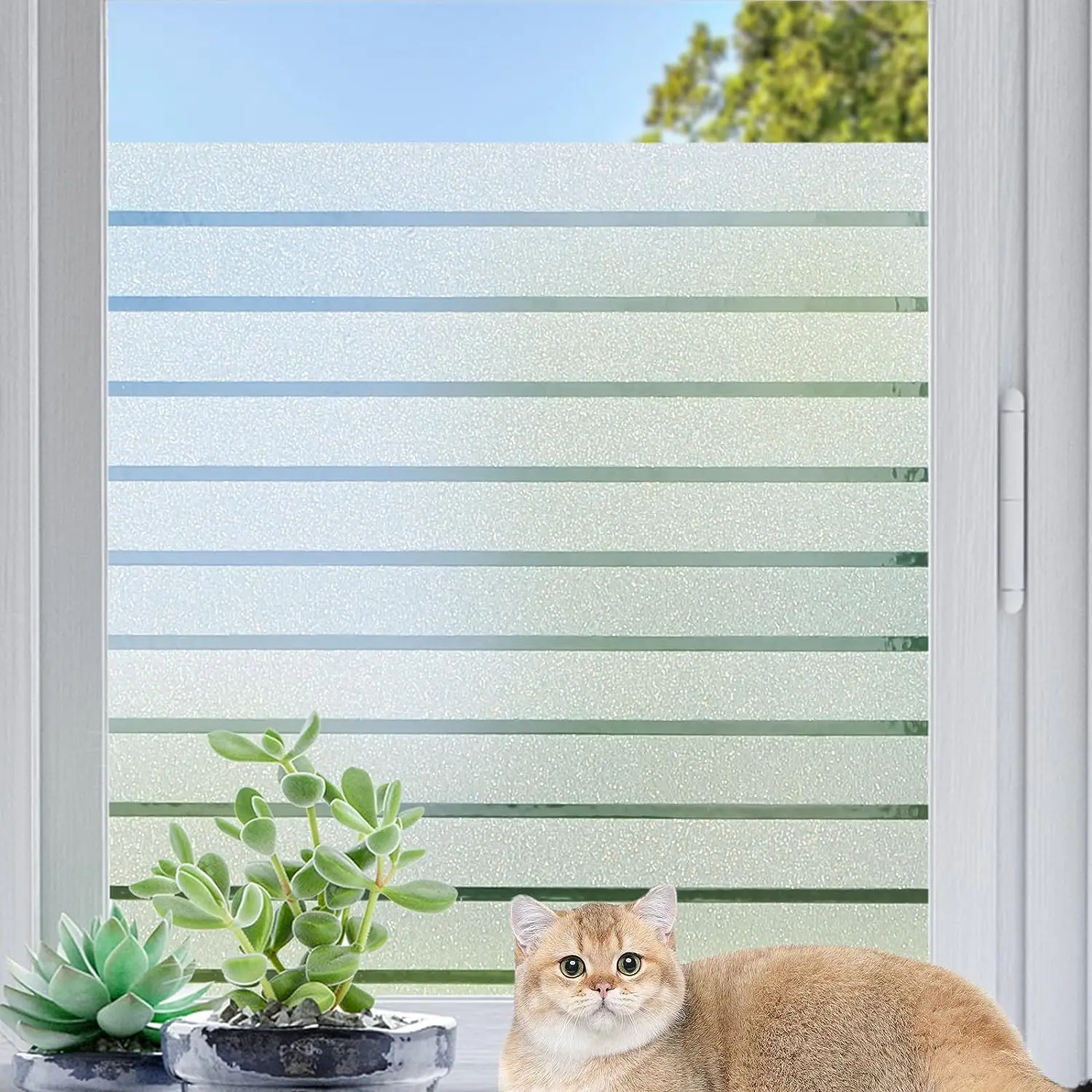 Window Privacy Film: Frosted Glass Film Heat Blocking, Blinds Decor Static-Cling Windows Cover Stickers for Kitchen Door Office