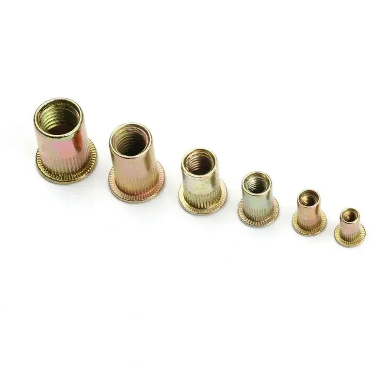 100/165 pièces écrous zingés Rivnut tête plate filetage Rivets insérés dans le capuchon d'écrou Rivet écrou Kit M3 M4 M5 M6 M8 M10 M12