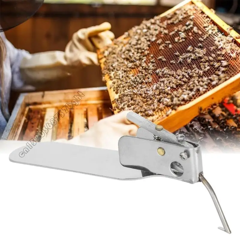 Professional Beekeeping Grafting Tool Accuracy Pupa Transfer Needle With Spring Mechanism For Queen Queen Rearing And 4XFB