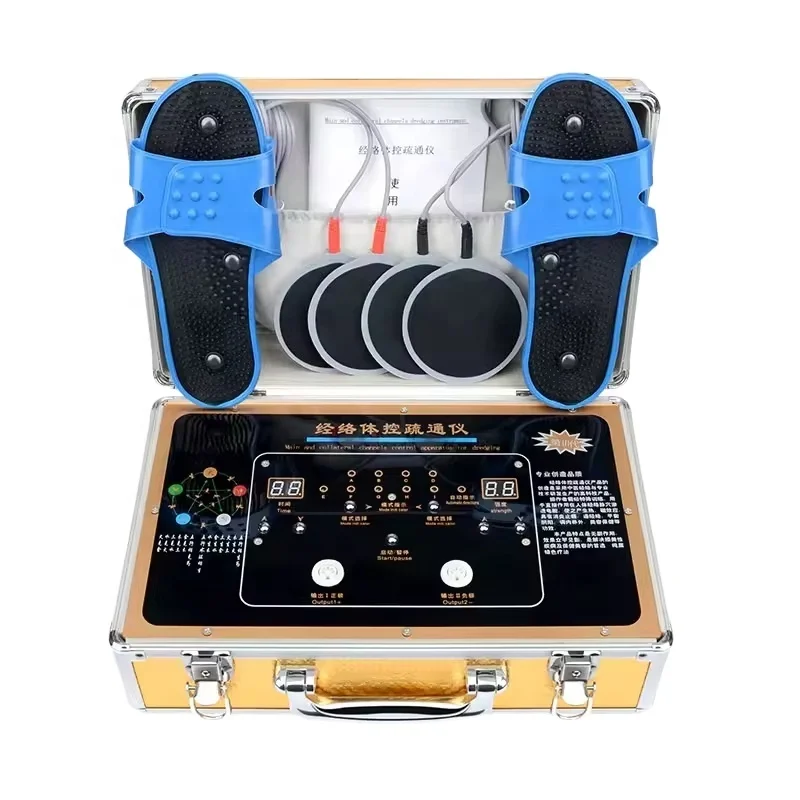DDS Bioelectric Massage Device Electro Body Meridian Dredging Health Care