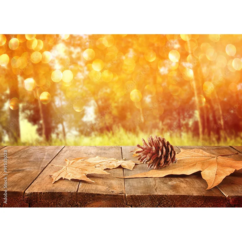 المناظر الطبيعية التصوير خلفية سقوط يترك الغابات المشهد السفر صور الخلفيات استوديو الدعائم 211224 QQTT-02